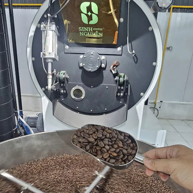 Vietnam Direct Supply Specialty Natural Arabica Coffee Beans Robusta Tasted Sweet Flavour Bulk Wholesale Export Bags for Health