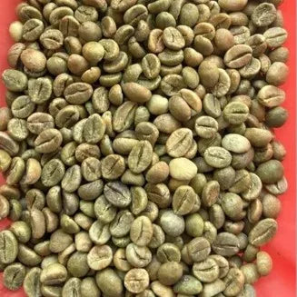 Premium Robusta Coffee Beans Size 16 High Ripeness Bulk Order 60kg PP Bags From Manufacture in Vietnam