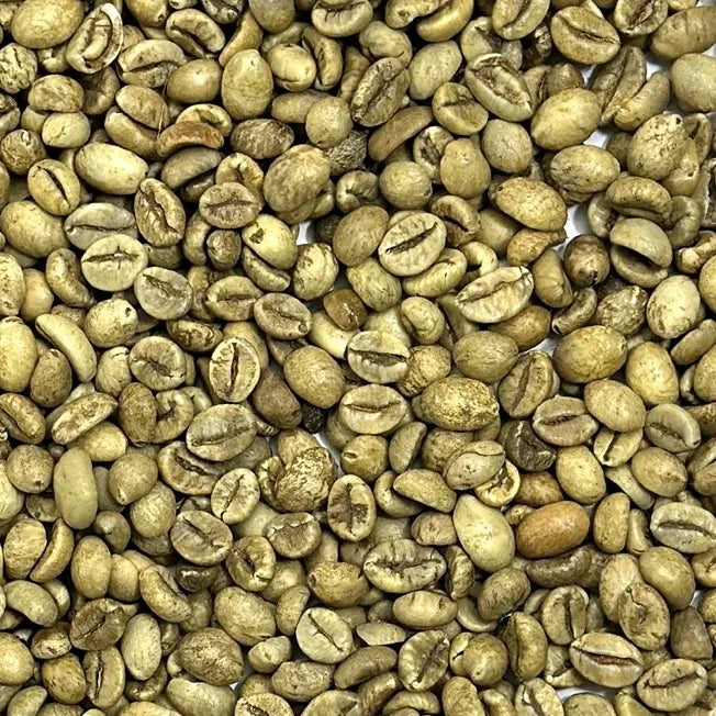 Premium Robusta Coffee Beans Size 16 High Ripeness Bulk Order 60kg PP Bags From Manufacture in Vietnam