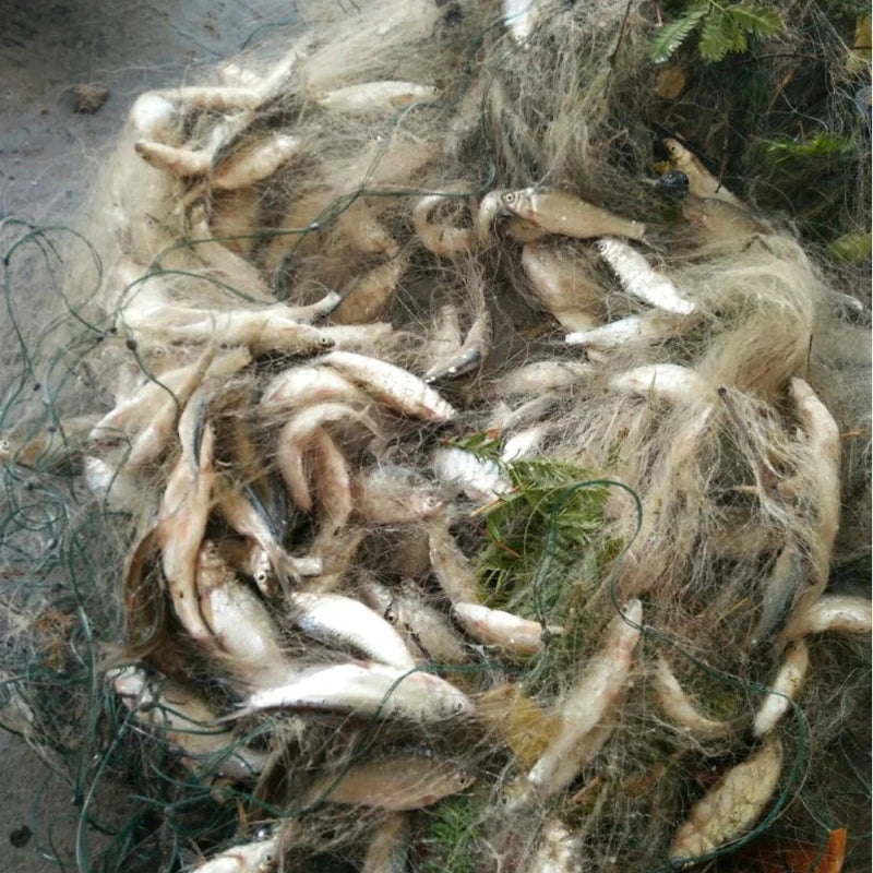 8M/20M New Monofilament Fishing Net Single Layer Fish Gillnet With Float Trap For Outdoor Hobbies Fishingman Fishing Accessories