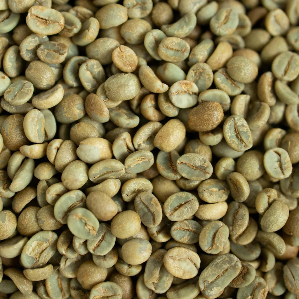 Premium Robusta Coffee Beans Size 16 High Ripeness Bulk Order 60kg PP Bags From Manufacture in Vietnam
