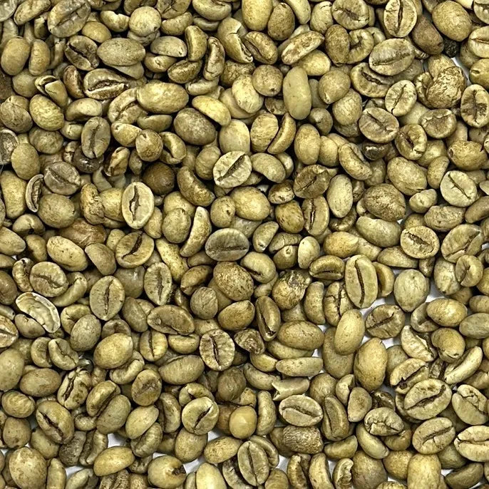 Premium Robusta Coffee Beans Size 16 High Ripeness Bulk Order 60kg PP Bags From Manufacture in Vietnam
