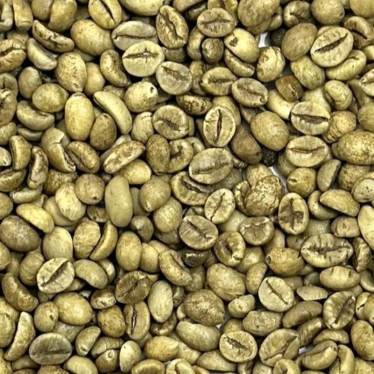 Premium Robusta Coffee Beans Size 16 High Ripeness Bulk Order 60kg PP Bags From Manufacture in Vietnam
